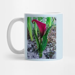 The Red Calla Lily Mug